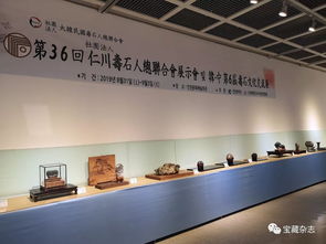 以石為媒，跨越山海 青島民間賞石藝術開啟跨國交流新篇章