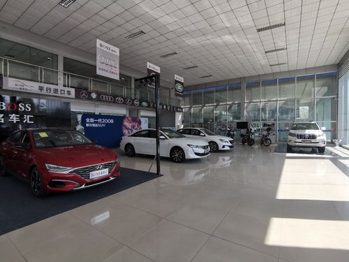 汽車銷售精英 專業(yè)素養(yǎng)與卓越服務的締造者