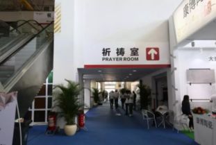 第33屆佛山陶博會超全觀展攻略 洞見趨勢，高效賦能