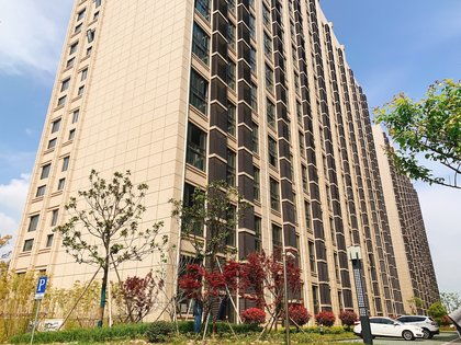 濱海之星優點 不足,濱海之星怎么樣,濱海之星周邊房產中介經紀人評價 上海安居客