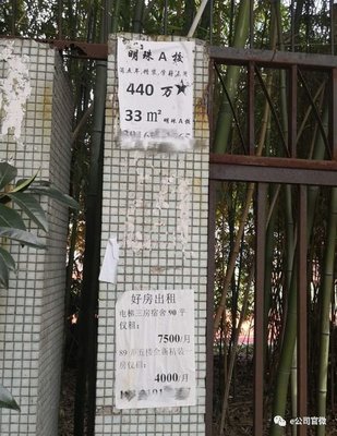 上海房地產(chǎn)開發(fā)商罕見促銷,買房送寶馬,網(wǎng)紅盤不用搶