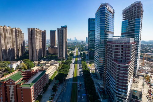 上海國際信托 信托業(yè)務(wù) 三分類 賦能構(gòu)建房地產(chǎn)發(fā)展新模式