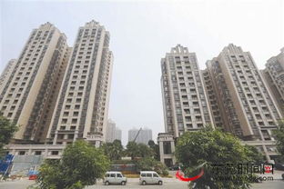 東莞日?qǐng)?bào)多媒體數(shù)字報(bào)刊平臺(tái)_東莞時(shí)間網(wǎng)