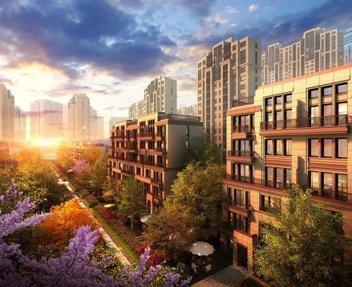 居住自由 一個上海家庭的夢想與現實